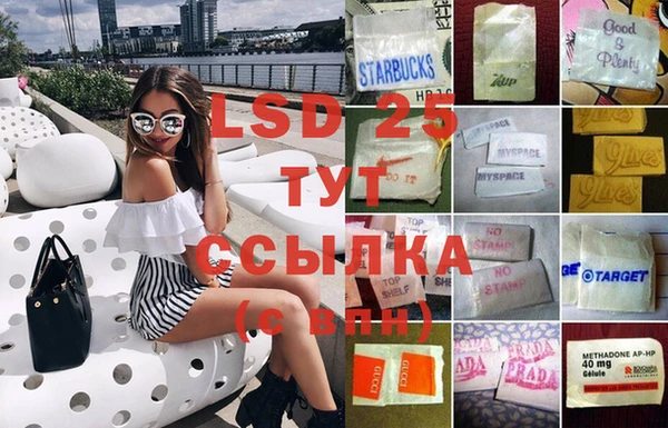 крисы Алзамай
