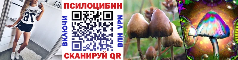 Псилоцибиновые грибы ЛСД  Андреаполь 
